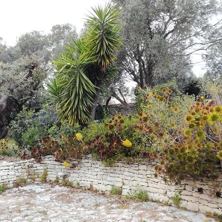 Bonifacio, Maison 90M² Sous Les Oliviers, Vue Sardaigne Бонифачо Екстериор снимка