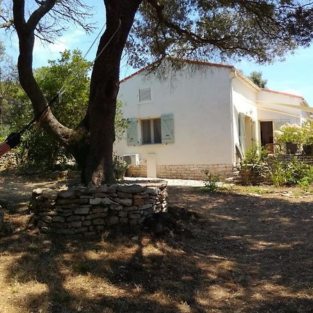 Bonifacio, Maison 90M² Sous Les Oliviers, Vue Sardaigne Бонифачо Екстериор снимка
