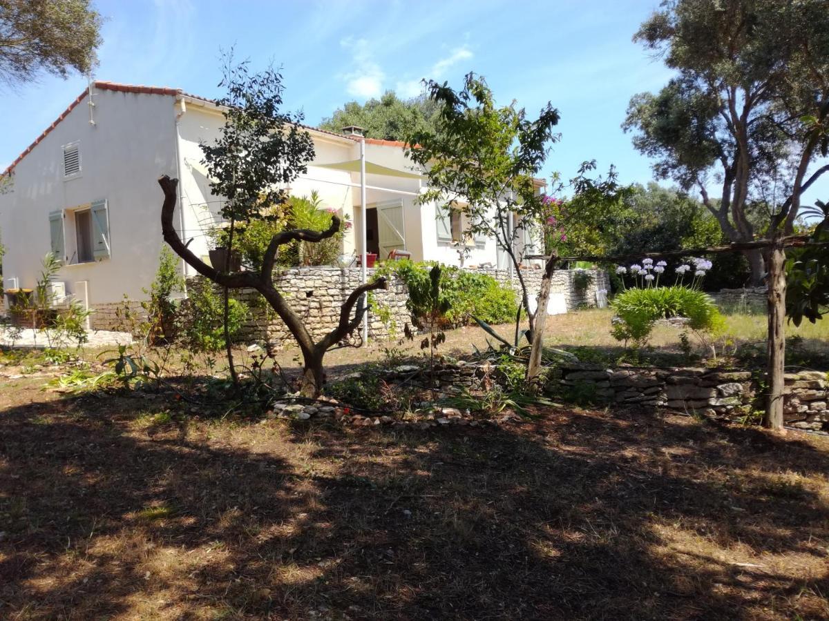 Bonifacio, Maison 90M² Sous Les Oliviers, Vue Sardaigne Бонифачо Екстериор снимка