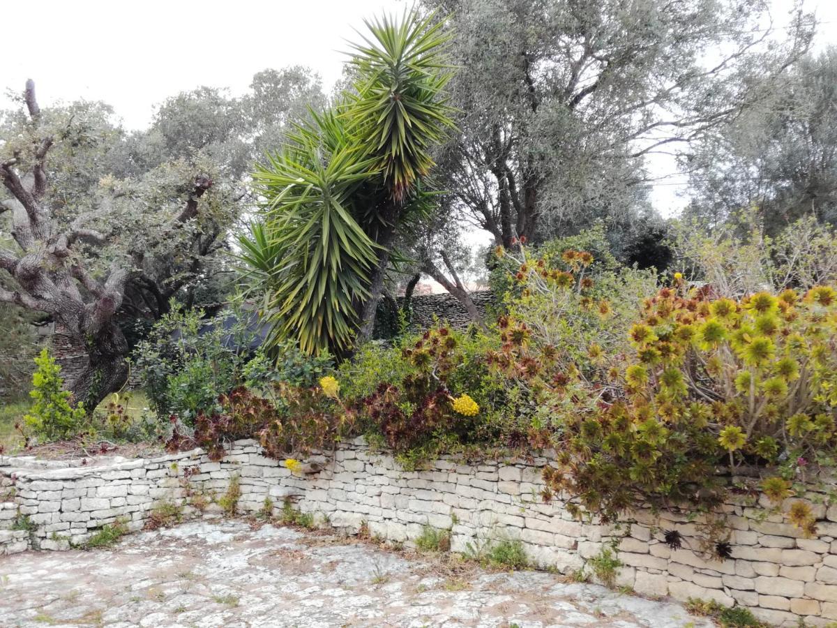 Bonifacio, Maison 90M² Sous Les Oliviers, Vue Sardaigne Бонифачо Екстериор снимка