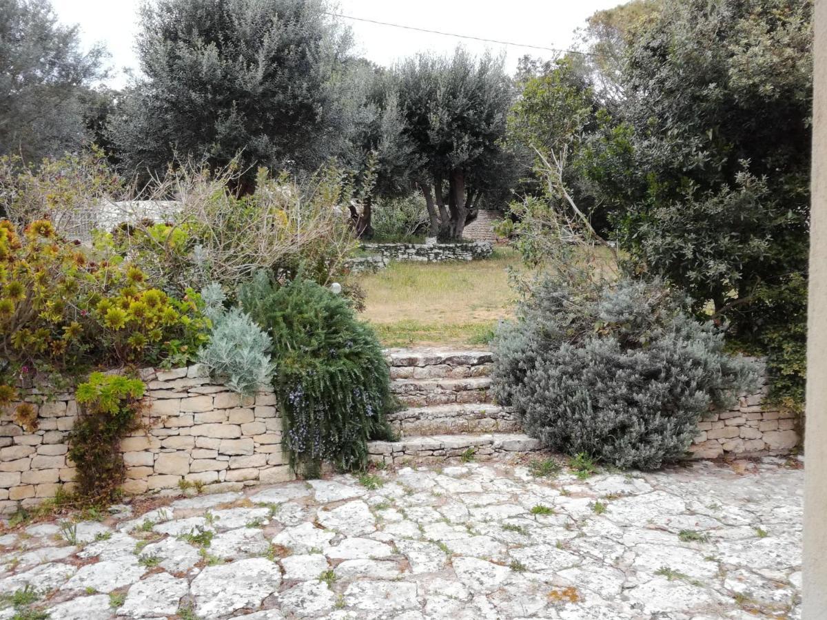Bonifacio, Maison 90M² Sous Les Oliviers, Vue Sardaigne Бонифачо Екстериор снимка